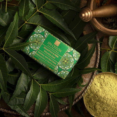 Eucalyptus & Neem - Anti-Bacterial Exfoliating Wellness Soap 100g