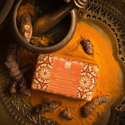 Turmeric & Tea Tree - Anti-Bacterial Exfoliating Wellness Soap 100g