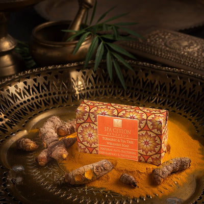 Turmeric & Tea Tree - Anti-Bacterial Exfoliating Wellness Soap 100g